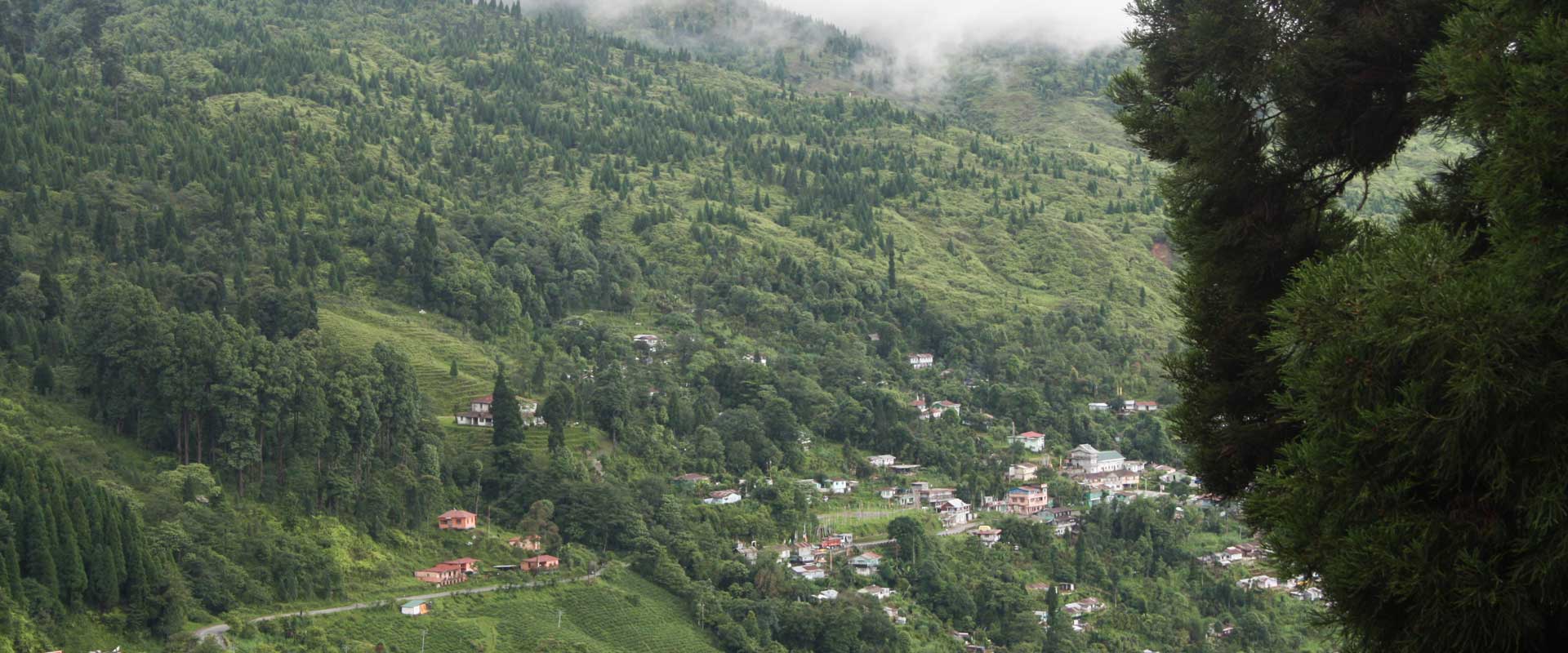 Kalimpong Gangtok Darjeeling Tour
