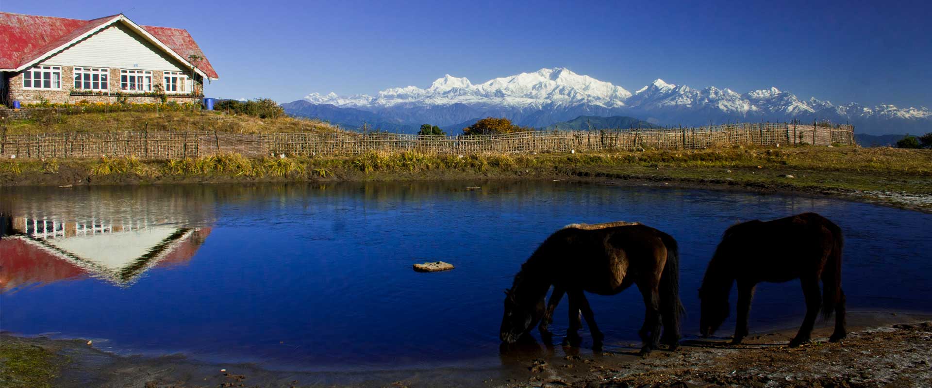 Gangtok Lachung Pelling Darjeeling Tour