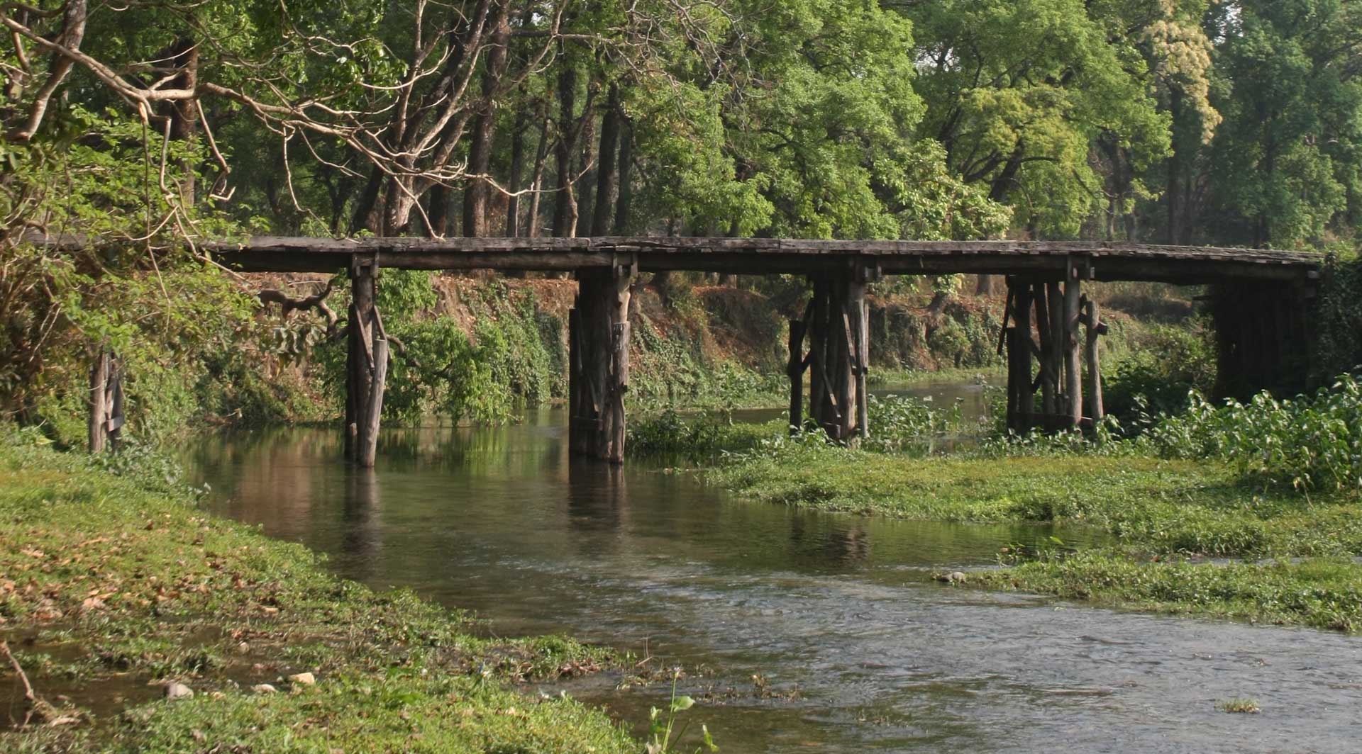 Malangi Lodge Barodabri