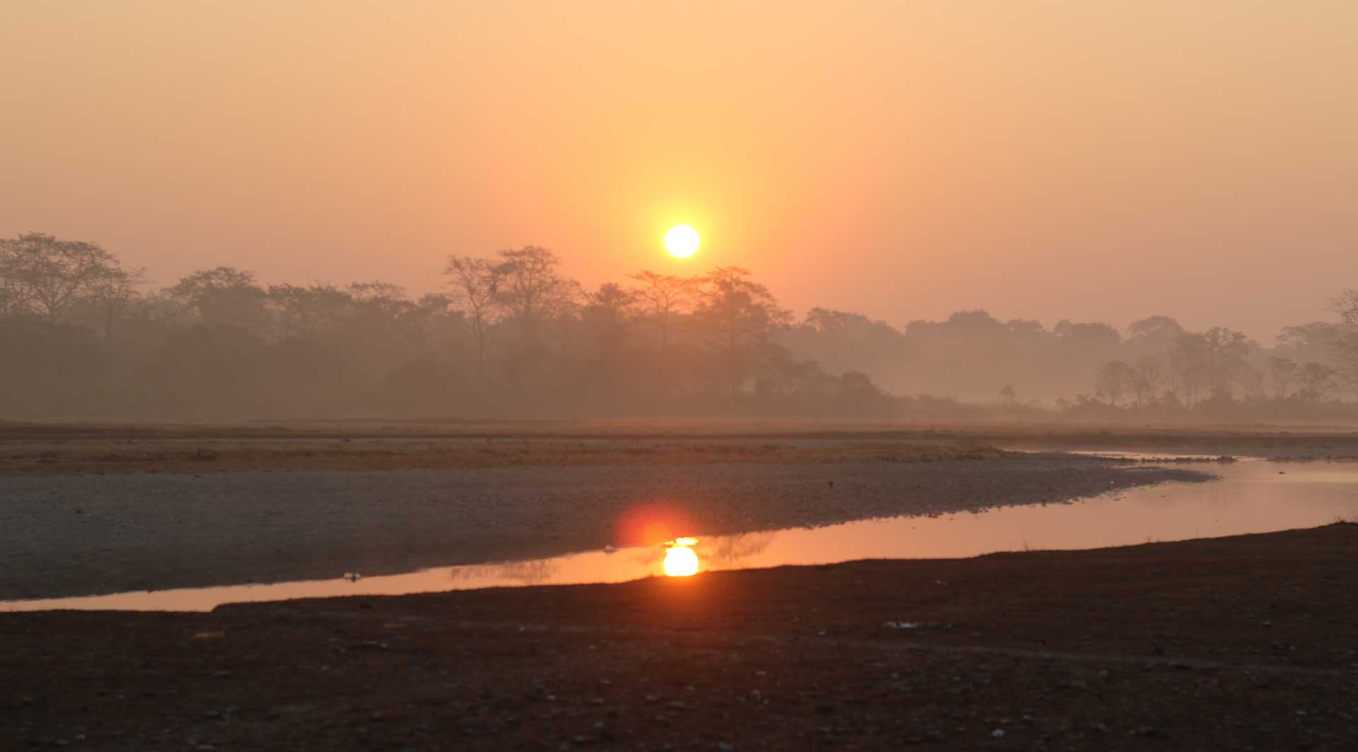 Gorumara forests Batabari