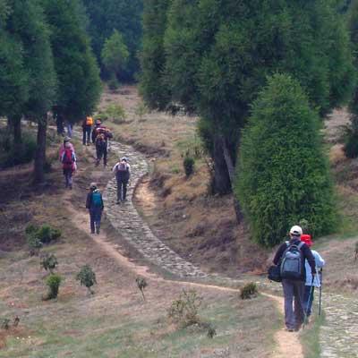 Trekking in Darjeeling Himalaya