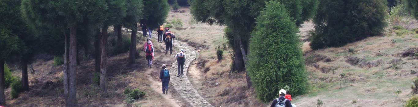 Sandakphu Trek in 10 days